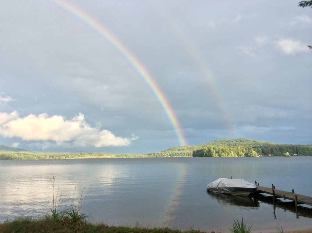 Double Rainbow - T. Harrington